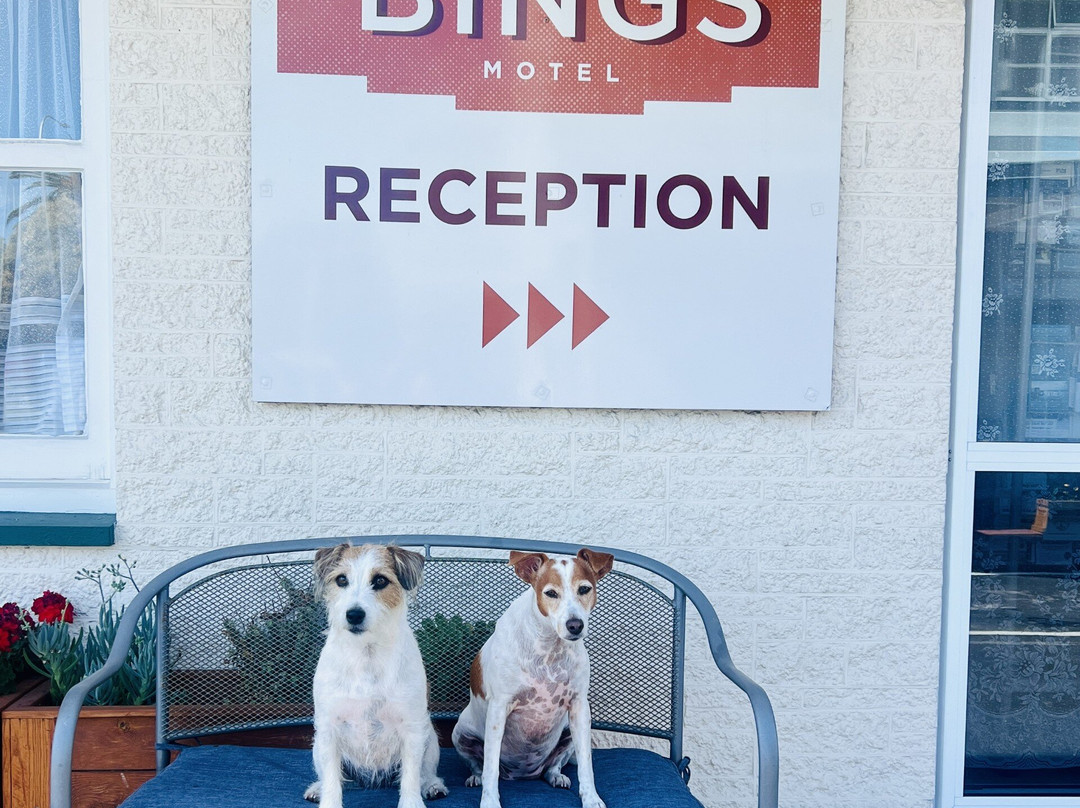 冰斯汽车旅馆主图