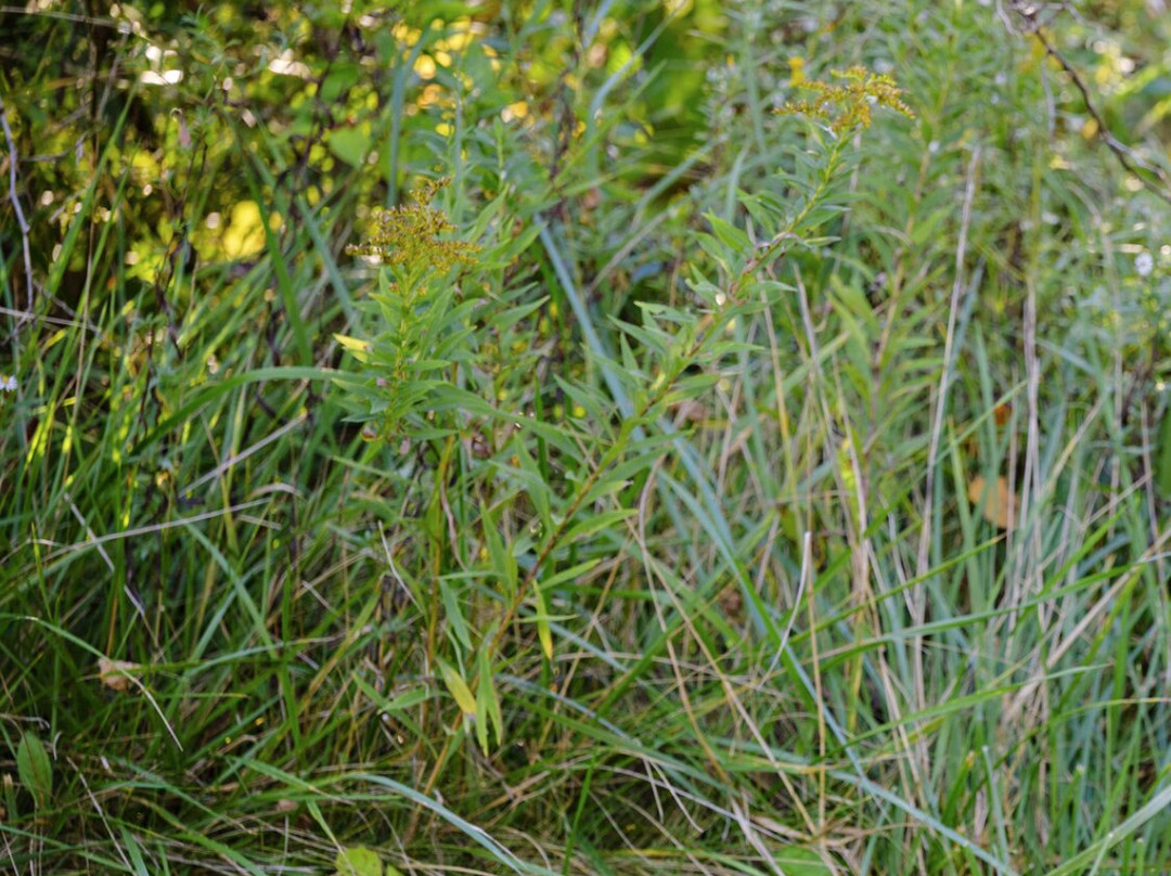 Brecksville Reservation-Brecksville必去景点