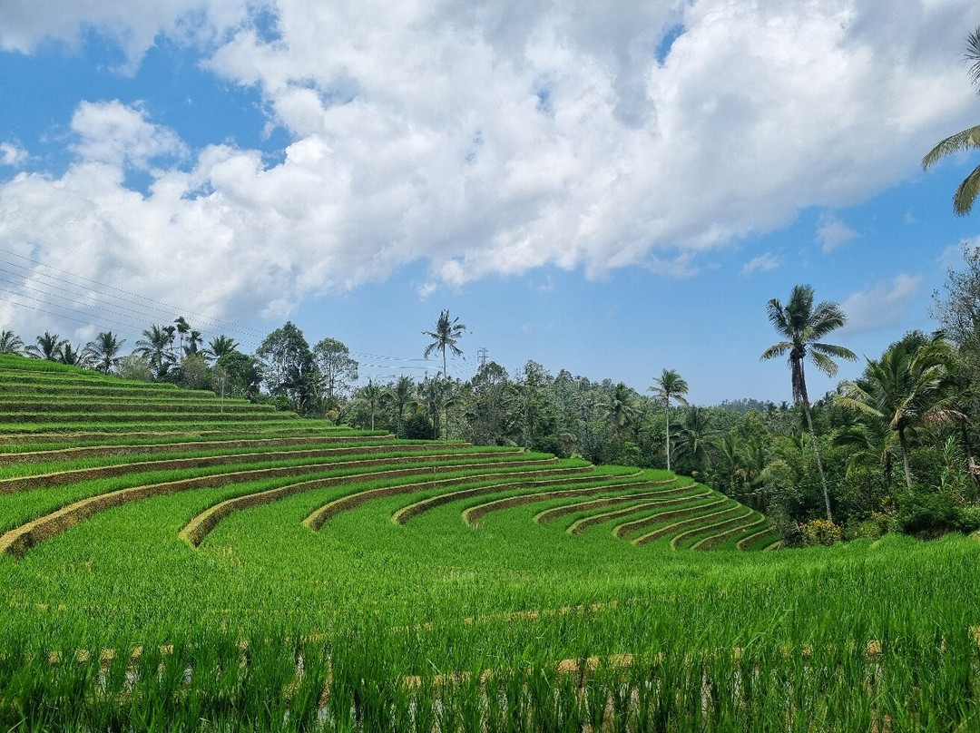 Belimbing Village-达巴南必去景点