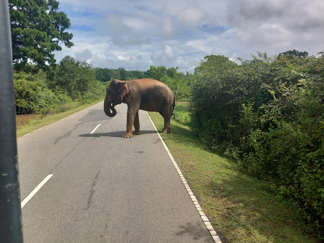 Tissa Lake View Restaurant