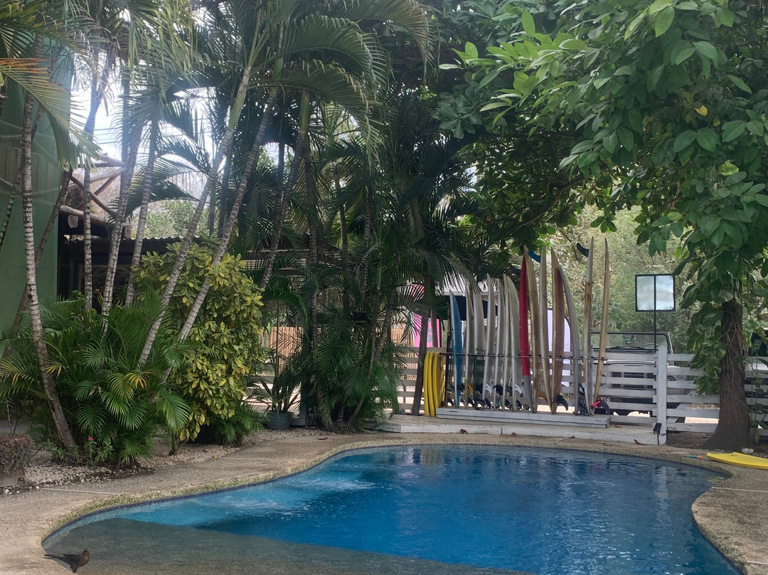 El Reinas by Sugar's Monkey主图