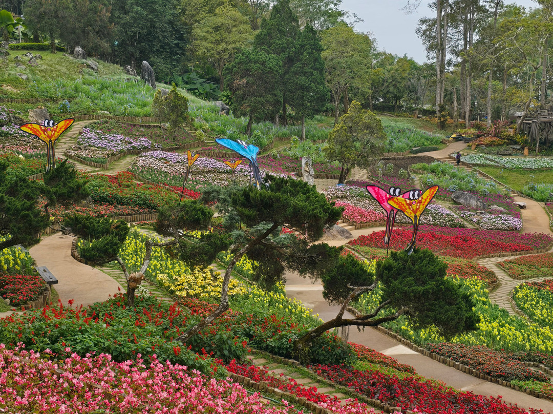 Doi Tung Palace-清莱必去景点
