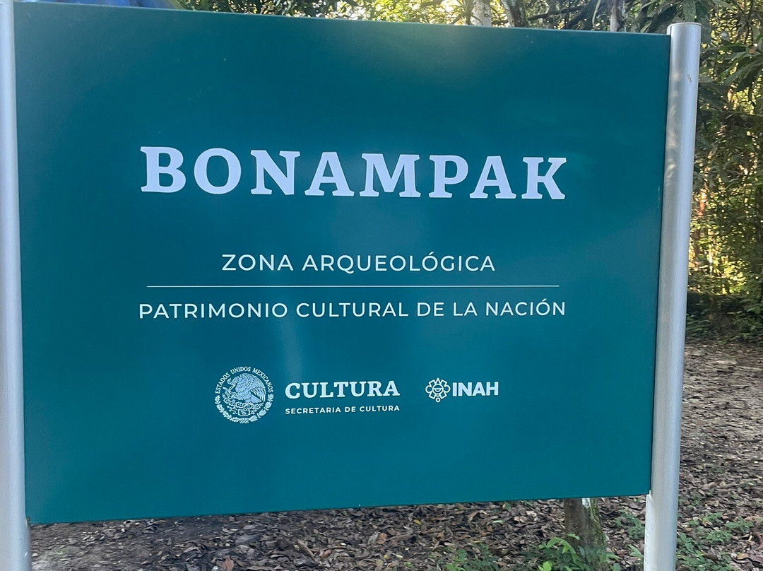 Zona Arqueológica de Bonampak景点图片