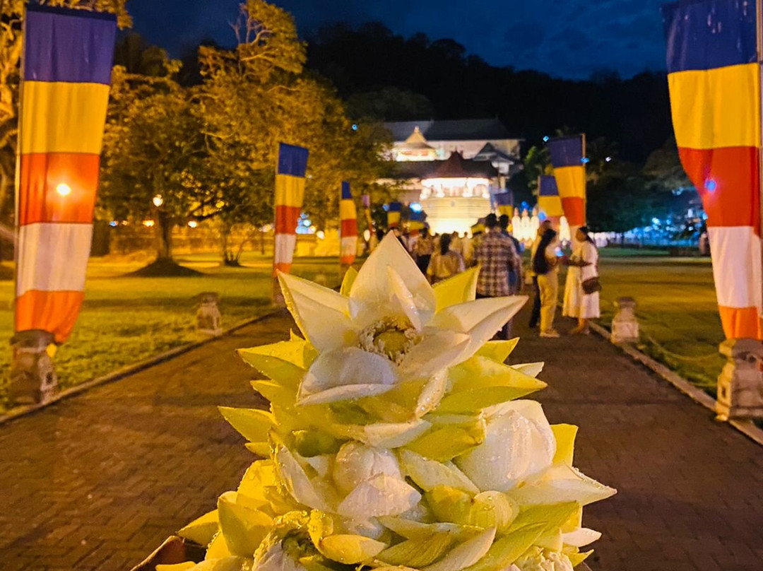 Travel With Hasa Sri Lanka-Neboda必去景点