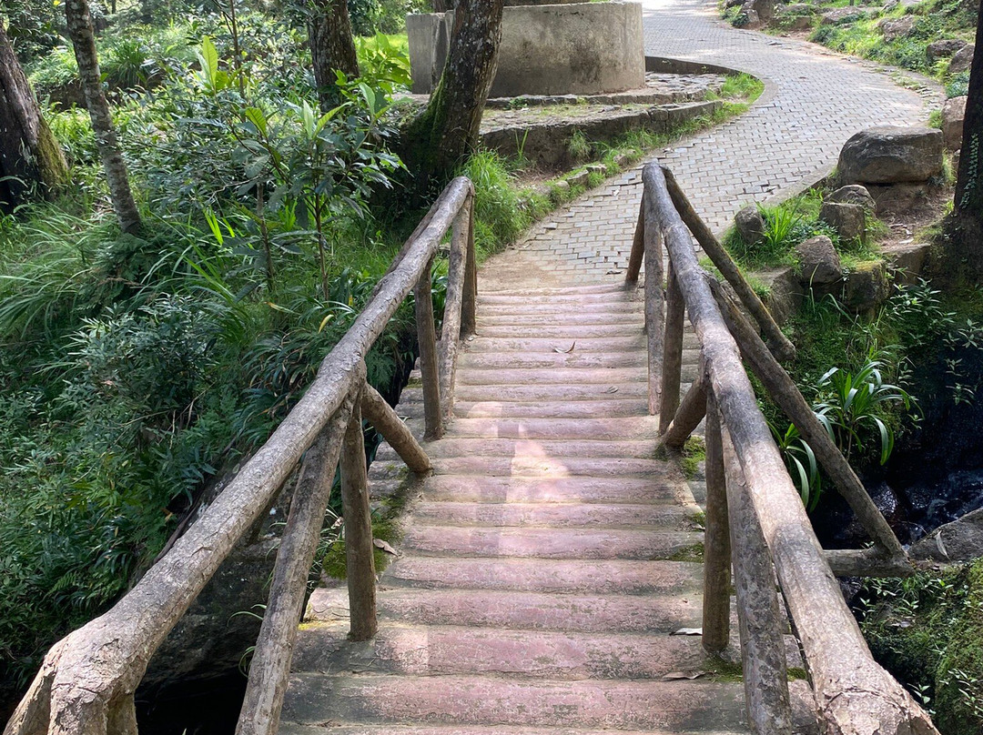 Deshan's Tour of Sri Lanka-Nawalapitiya必去景点