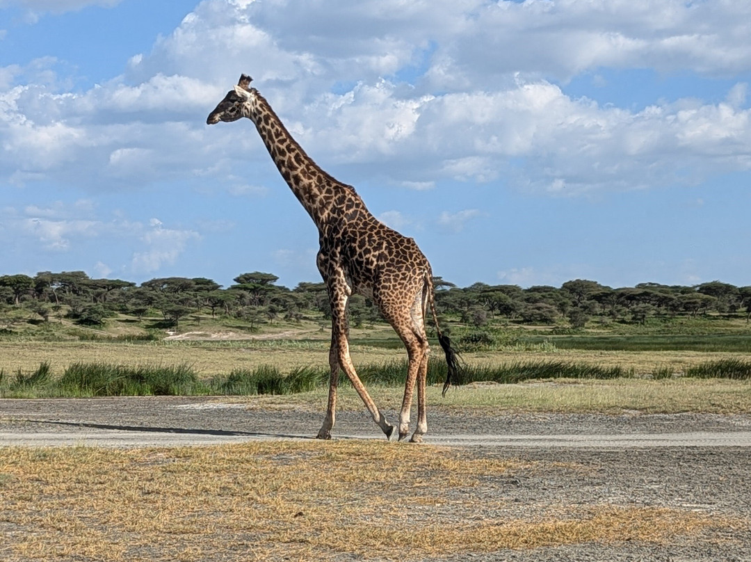 Travel Africa Tours-亚的斯亚贝巴必去景点