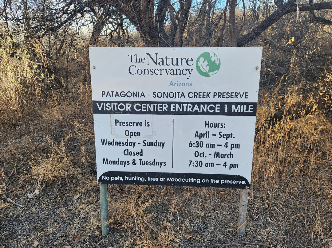 Patagonia-Sonoita Creek Preserve景点图片