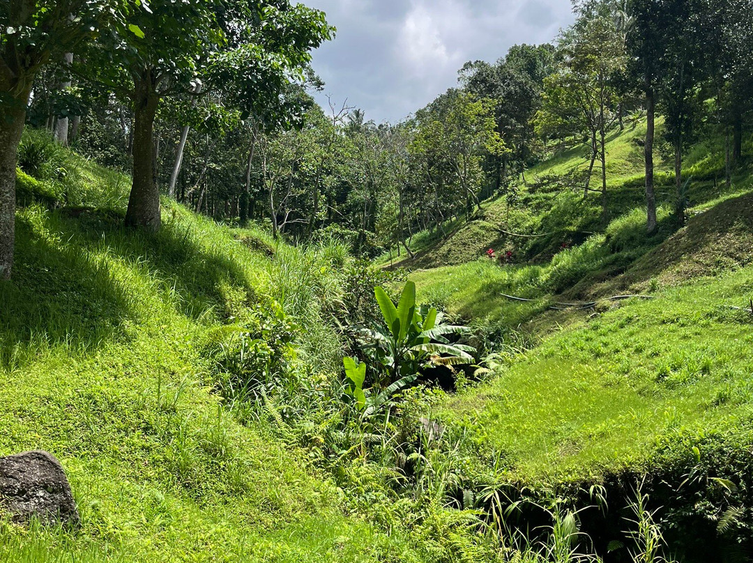 Edy Tour Guide-Tetebatu必去景点