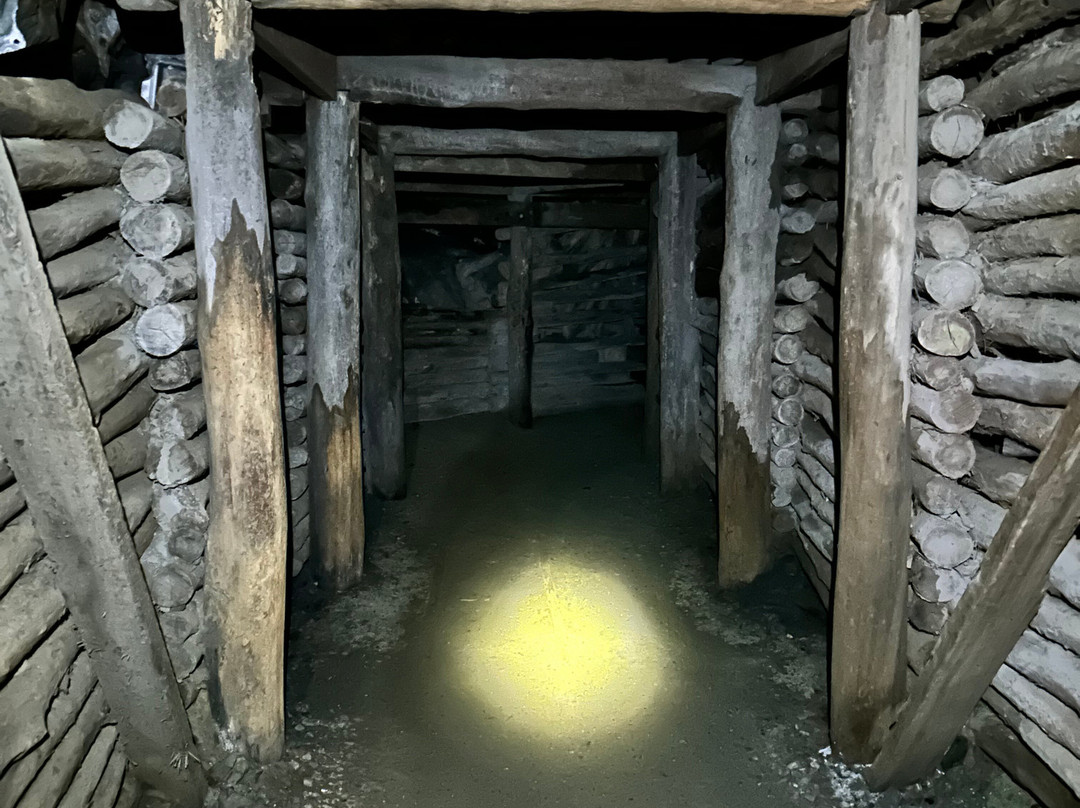 Central Deborah Gold Mine景点图片