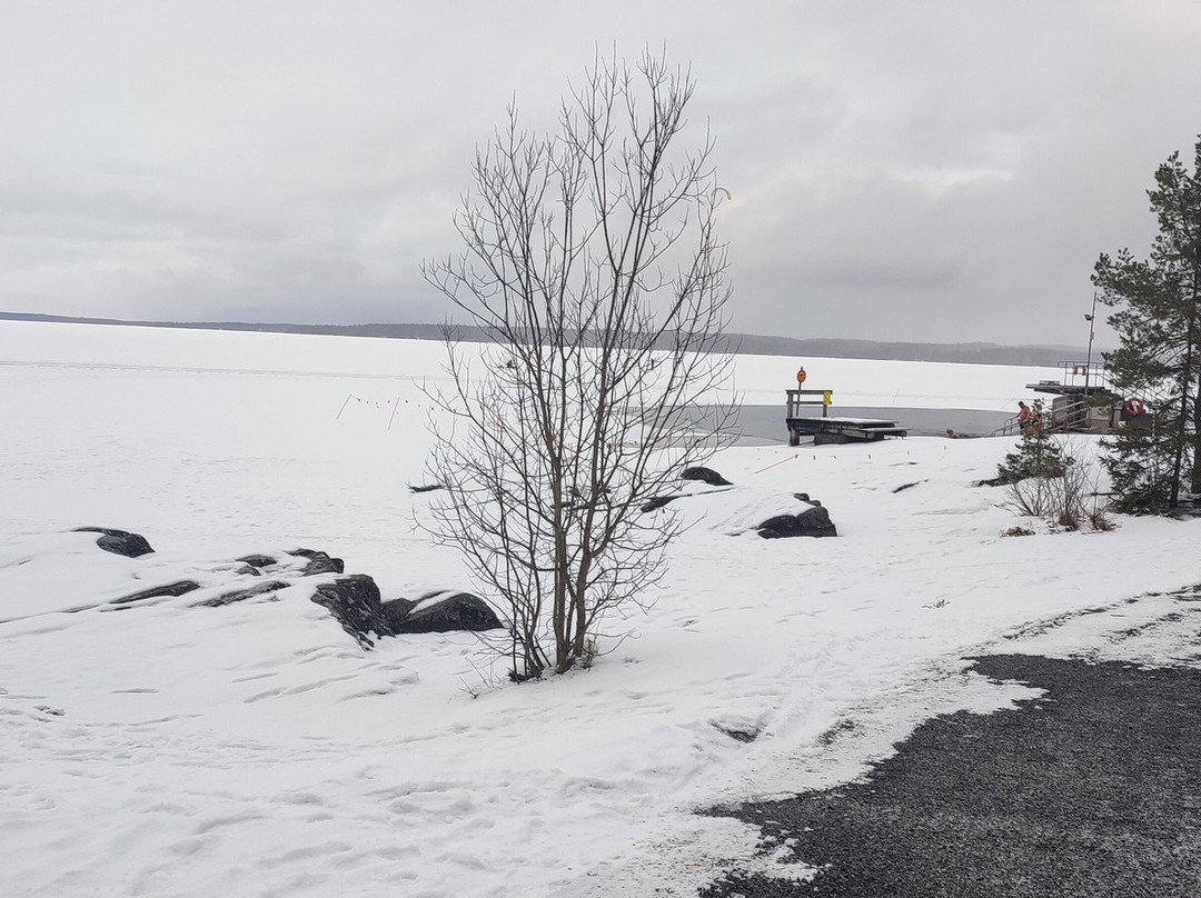 Rauhaniemen Kansankylpylä-坦佩雷必去景点