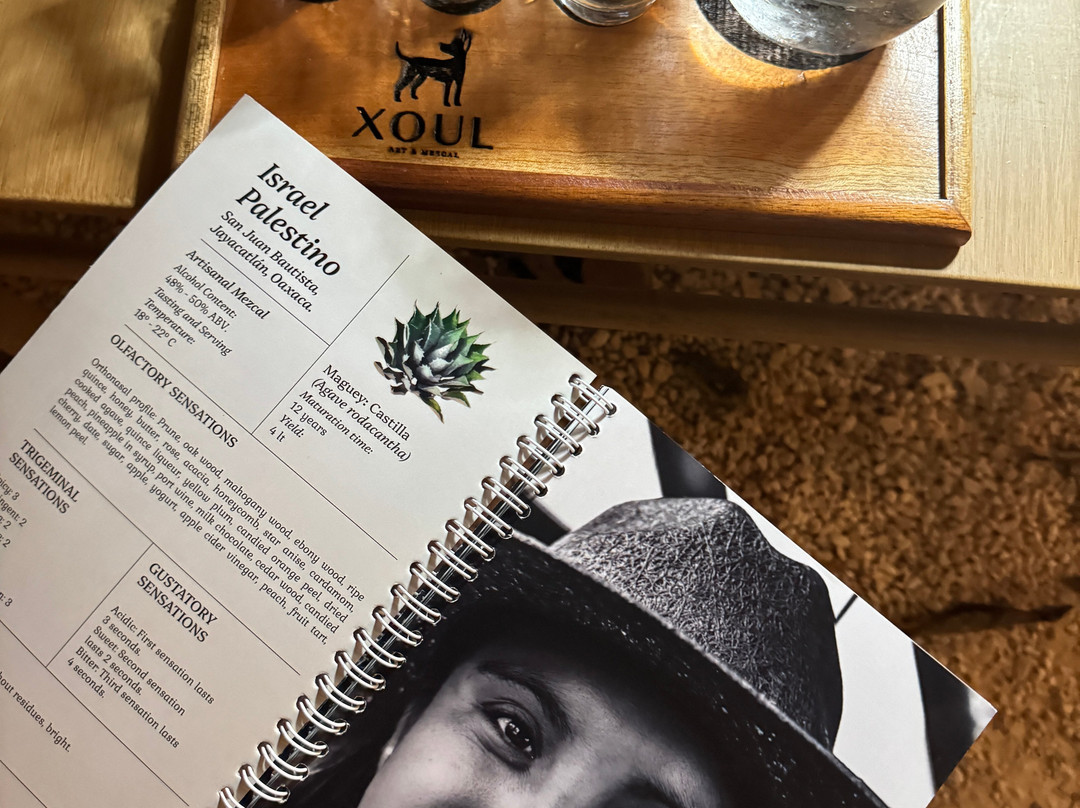 Xoul Art & Mezcal-巴利亚多利德必去景点