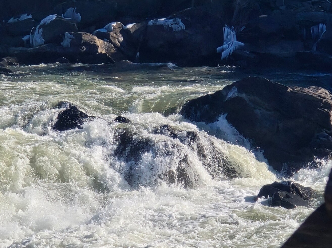 Great Falls景点图片