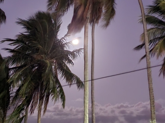 My Transfer-累西腓必去景点