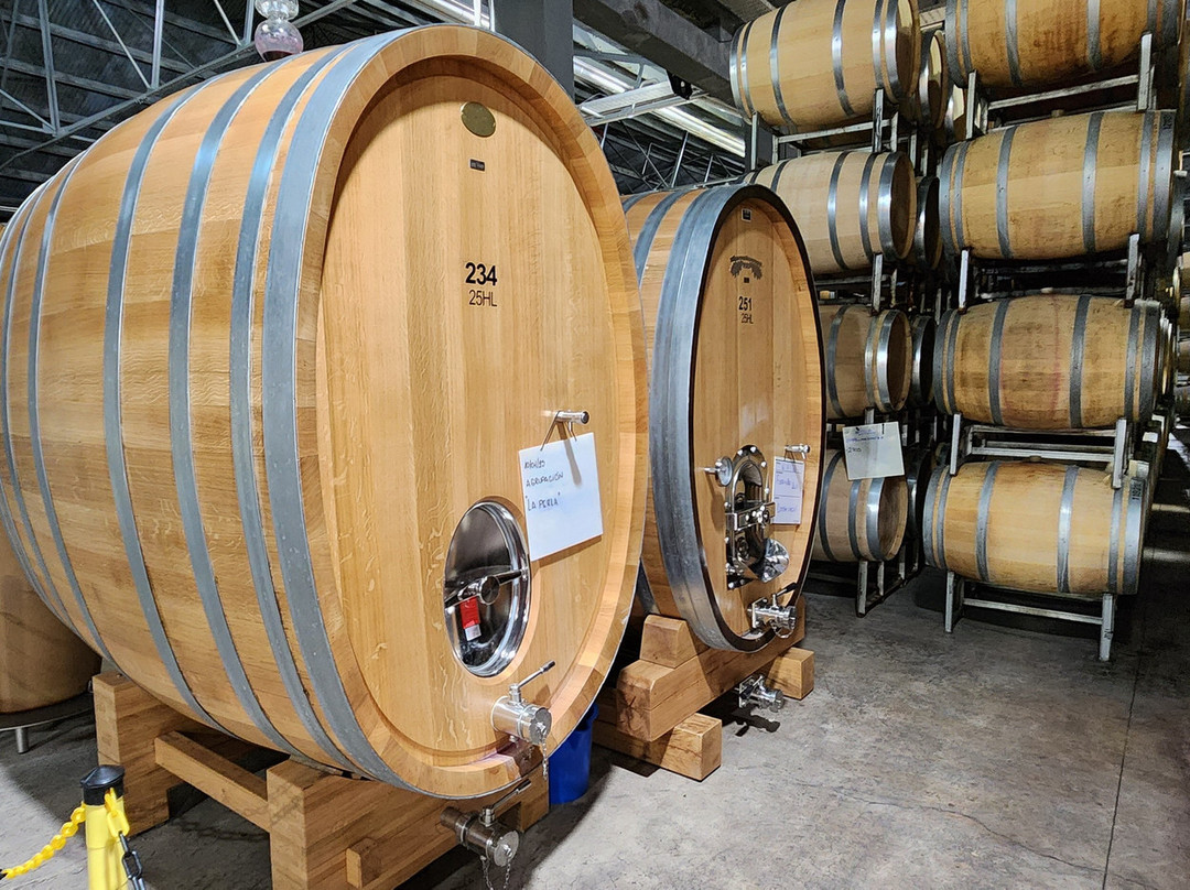 Terrazas de los Andes - Guest House主图