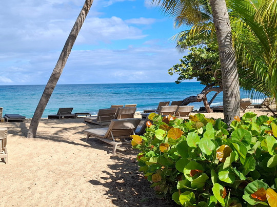 Royalton Grenada Beach