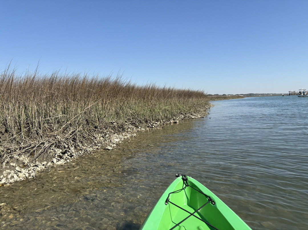 Pawleys Kayaks-帕利斯岛必去景点