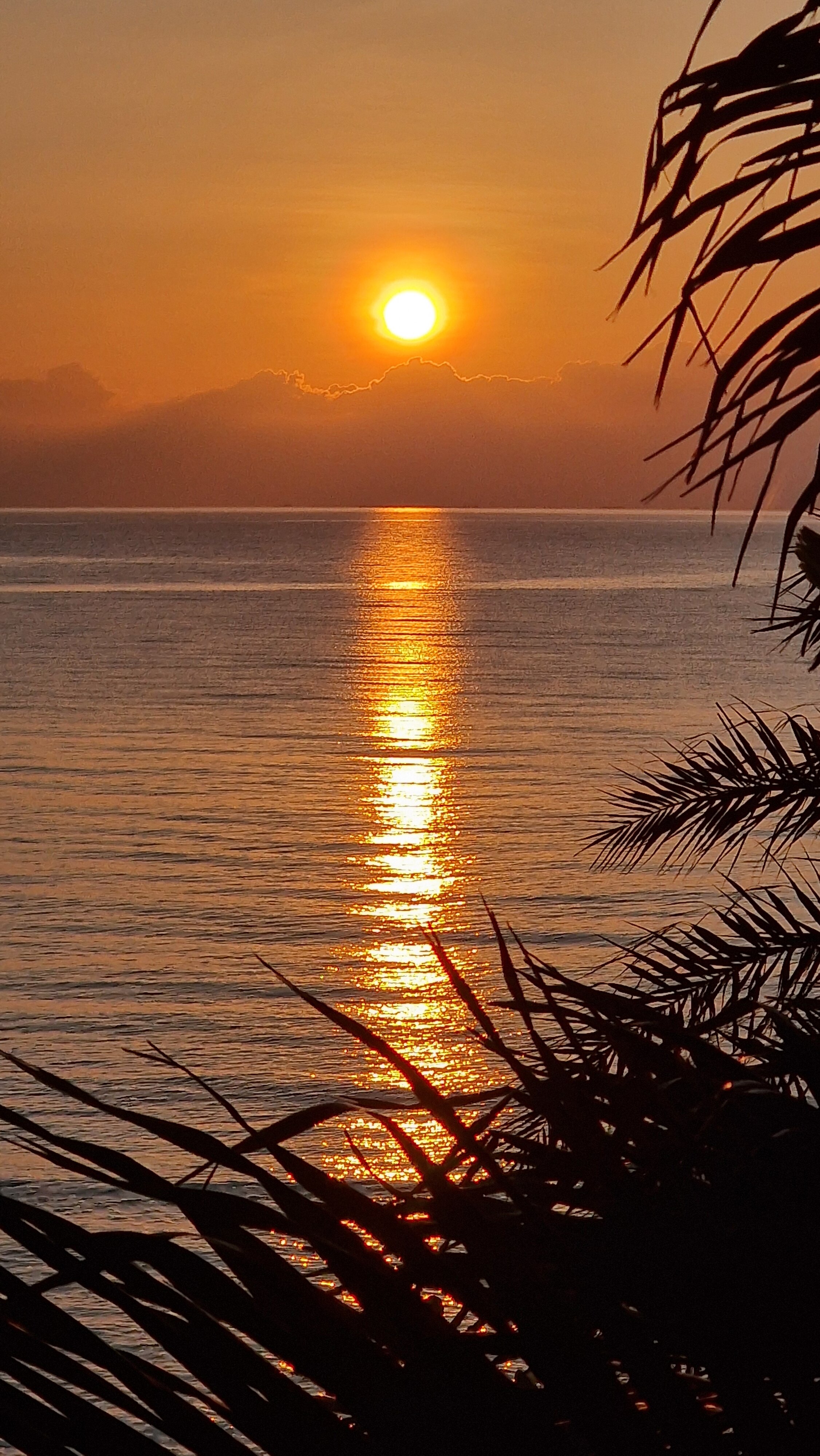 Khanom Hill Resort-酒店景观
