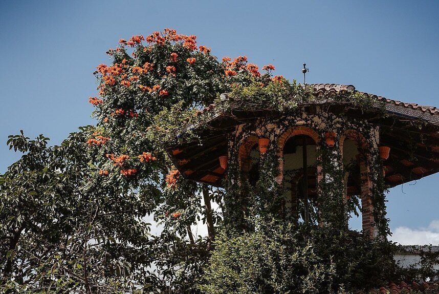 Hacienda Siesta Alegre主图