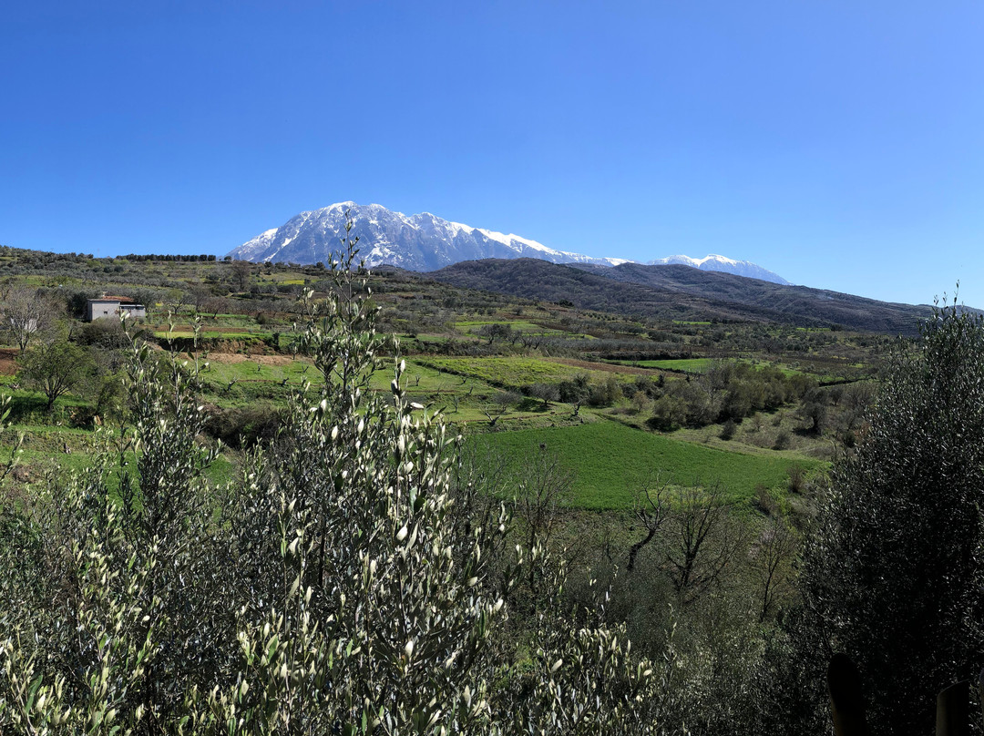 Alpeta Agrotourism & Winery景点图片