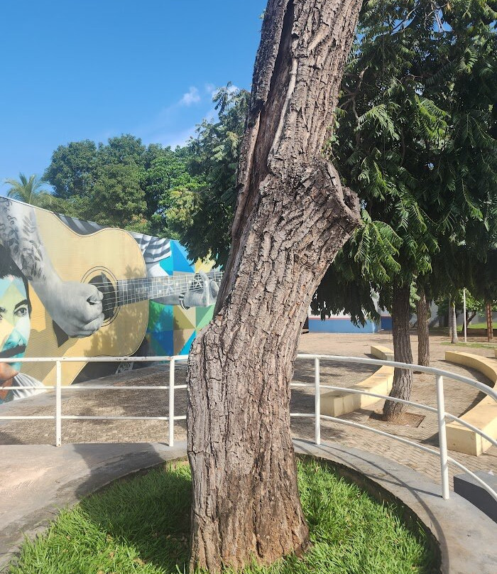 Praça Zacarias Mourão (Pé de Cedro)-Coxim必去景点