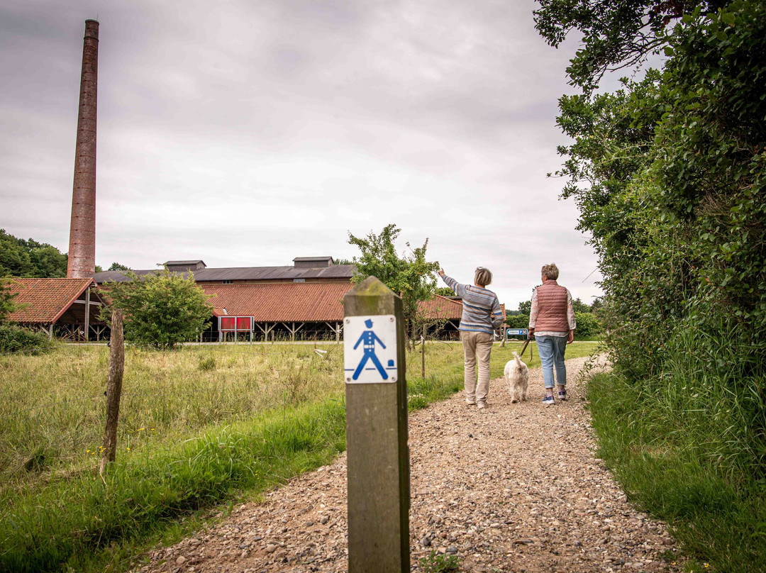 Museum Sønderjylland - Cathrinesminde Brickworks-Iller必去景点