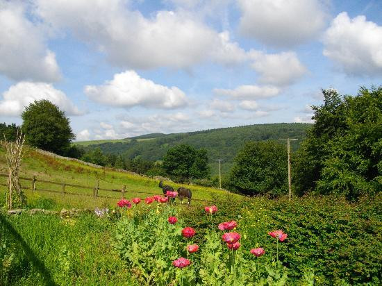 Ty Shon Jacob Farm主图