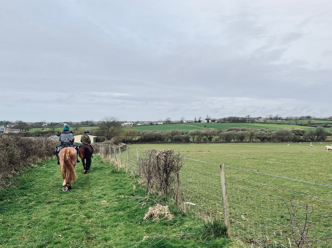 Anglesey Riding Centre景点图片