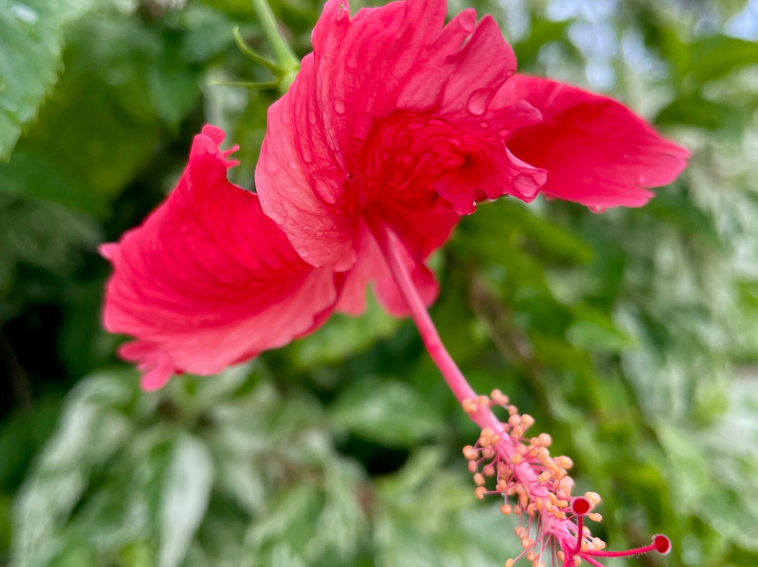 Top End Visitor Information Centre-达尔文市必去景点