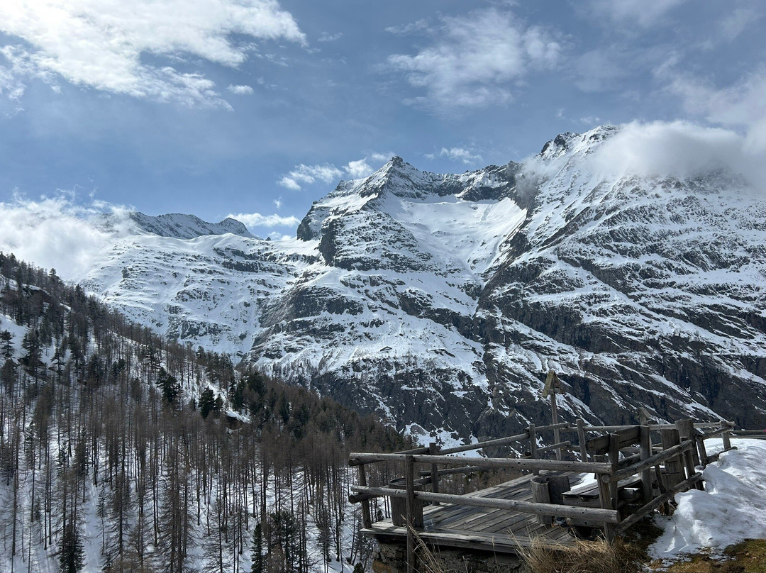 Pension Waldegg Restaurant