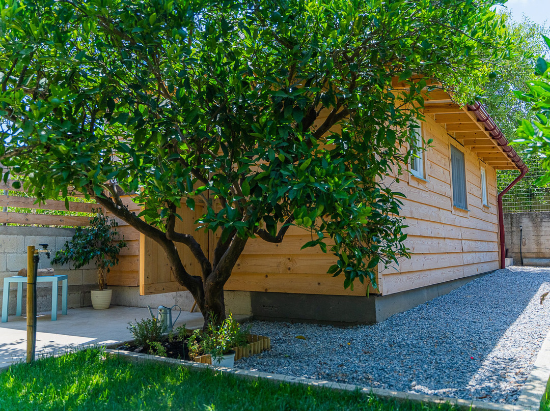 Athos Workshop-Aggeliana必去景点