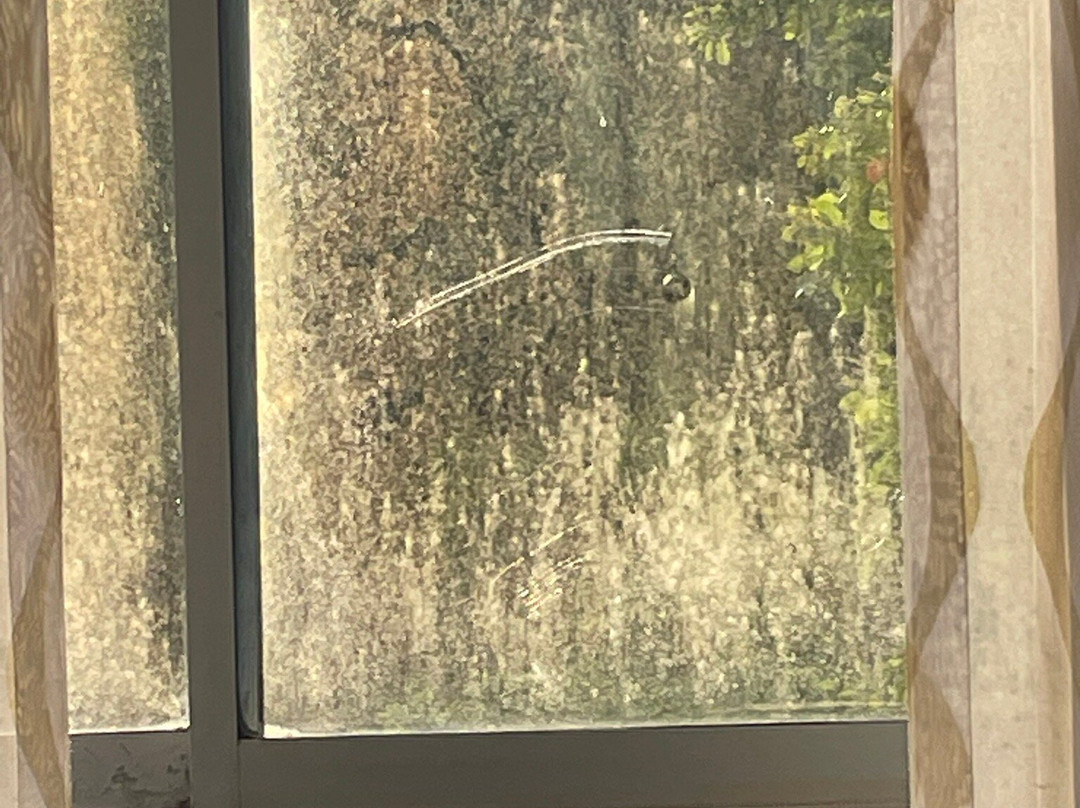 La Quinta Inn by Wyndham Jupiter主图