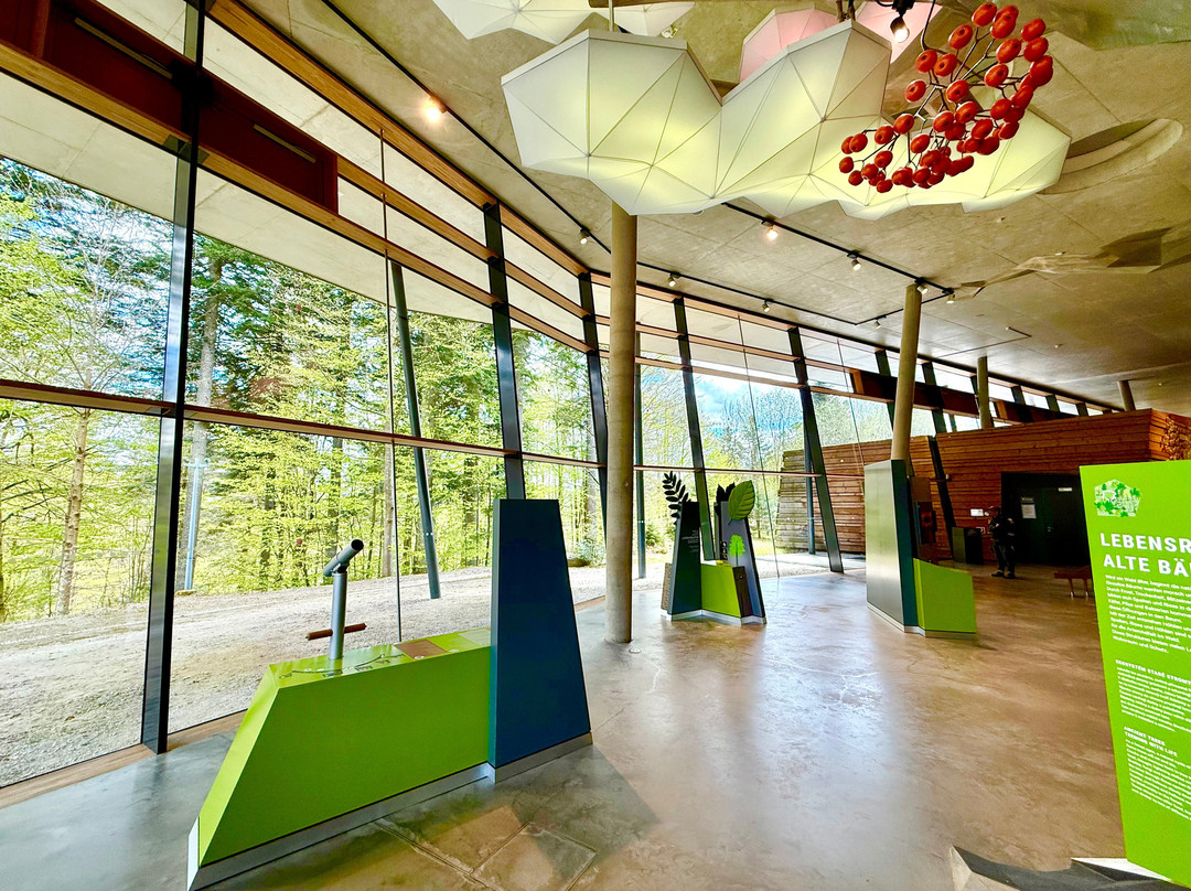 Nationalparkzentrum Falkenstein-Lindberg必去景点