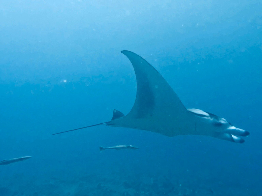 Dive Club Furaveri-Furaveri必去景点