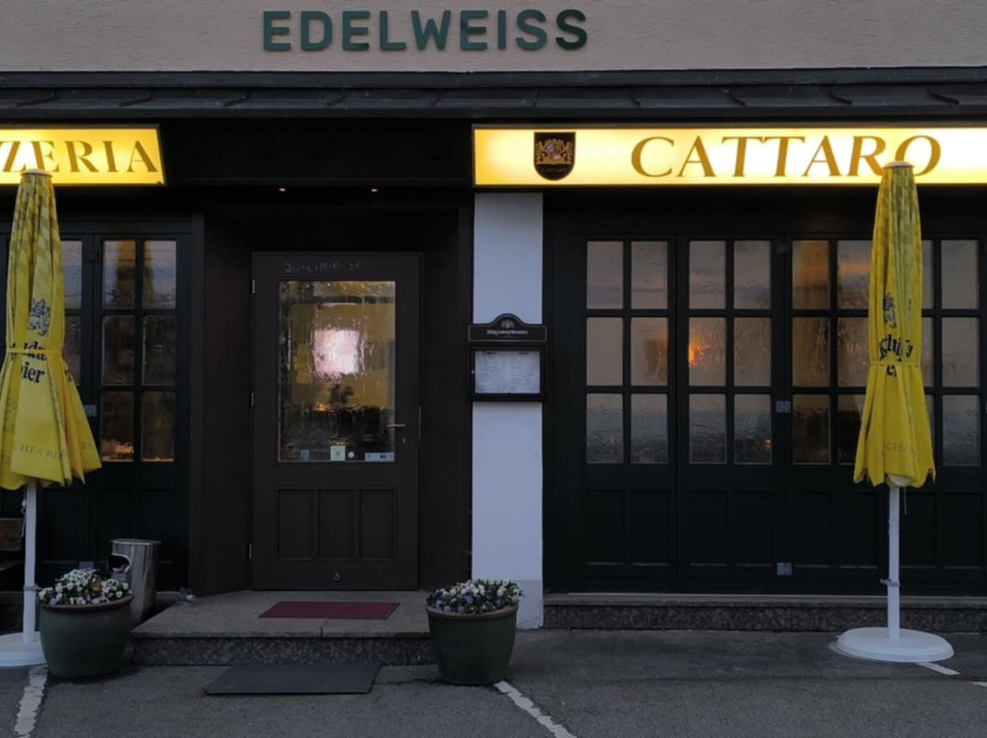 CATTARO Ristorante | Pizzeria | Café