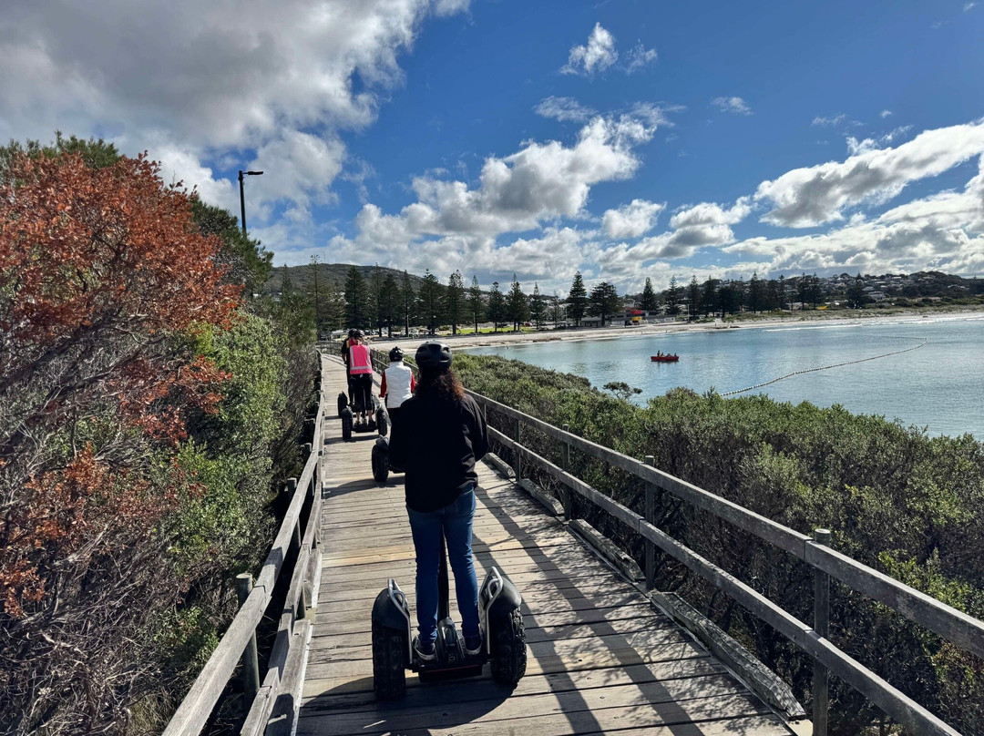 Albany Segway Tours-奥尔巴尼必去景点