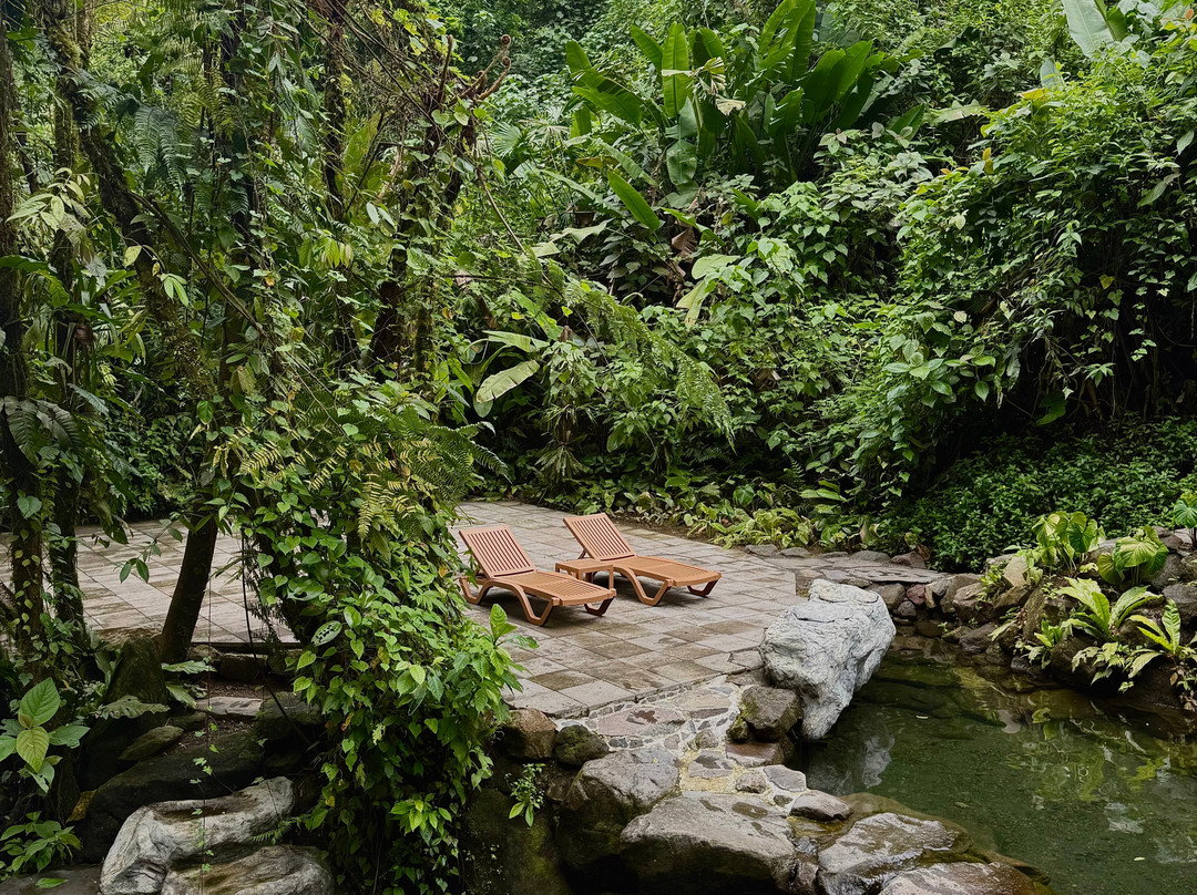 Kurú Natural Springs景点图片