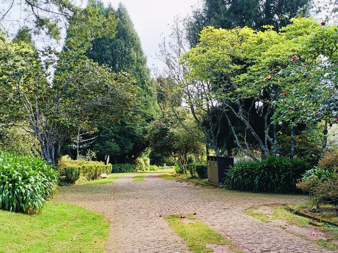 Enotel Santo Da Serra主图