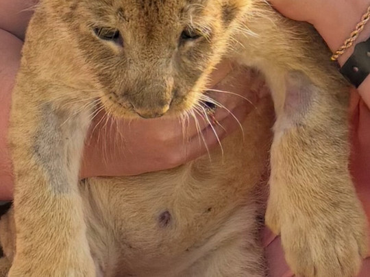 Discovery Park-Ilica必去景点