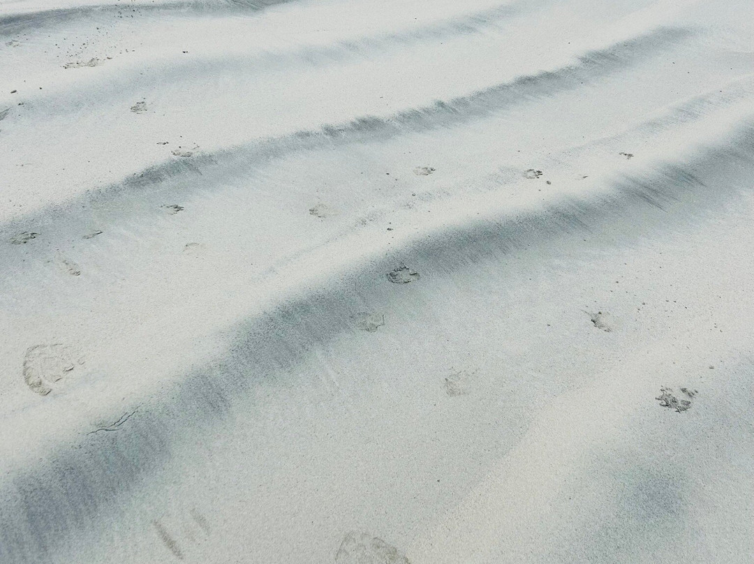Calgary Beach-Calgary必去景点