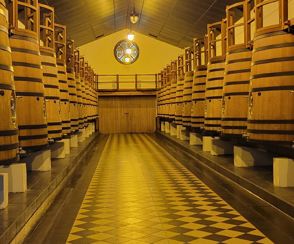 Château Pape Clément景点图片