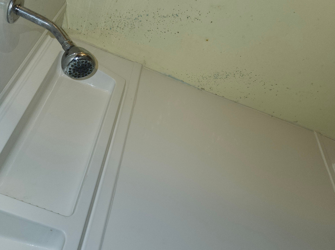 Southview Motel主图