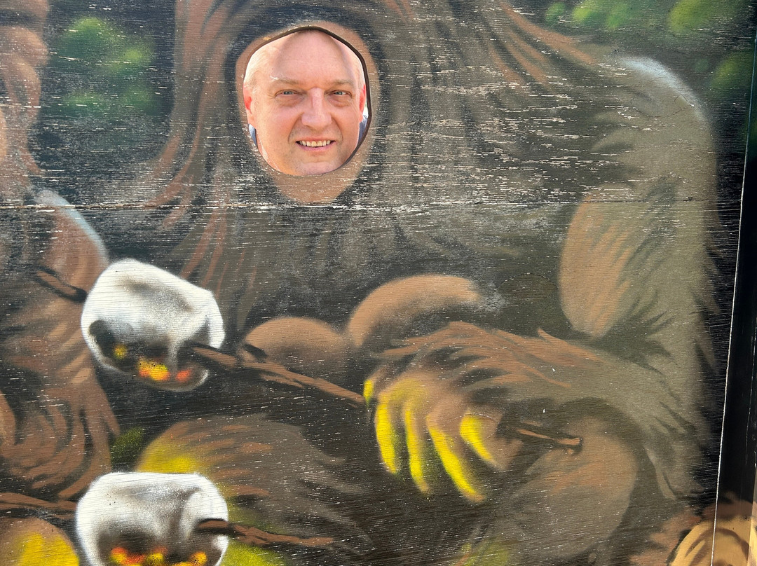 Country Barn Gift Shop & Photo Park-皮金福奇必去景点