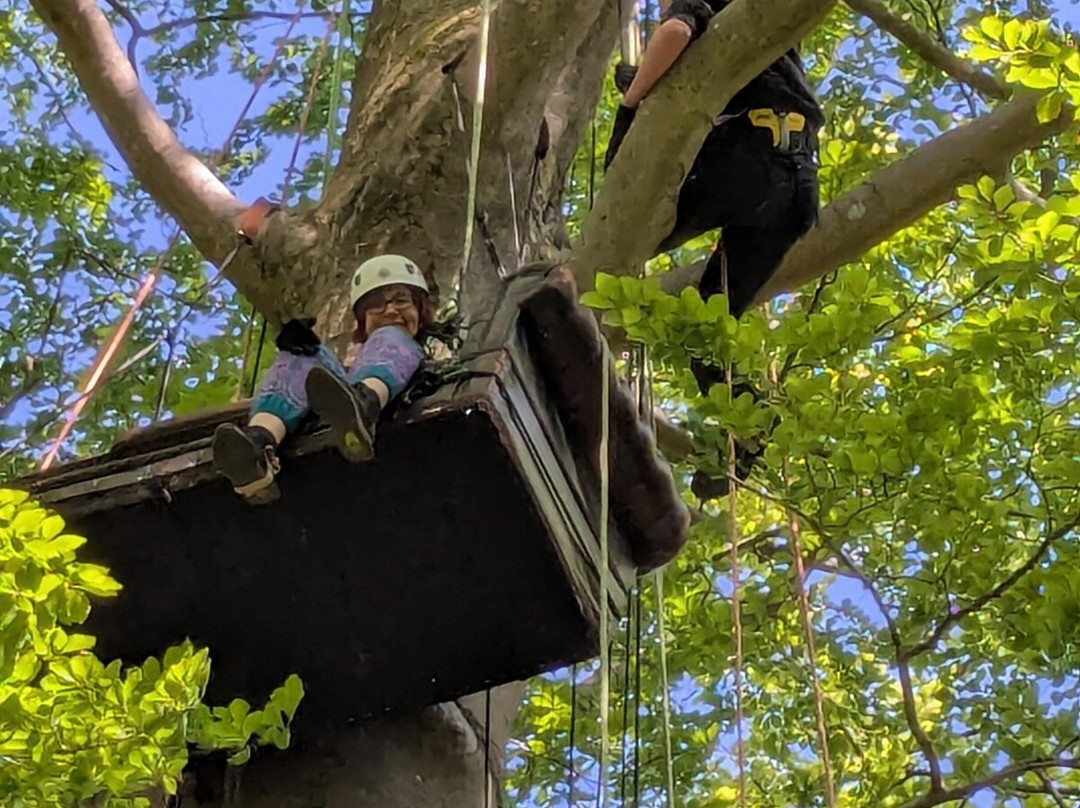 Social Tree Climbers-Bursledon必去景点