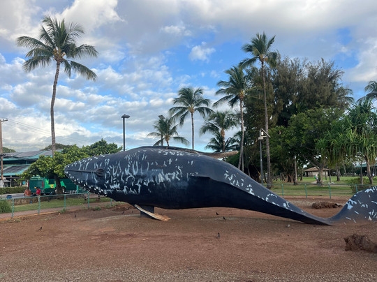 Maui Walking Tours-基黑必去景点