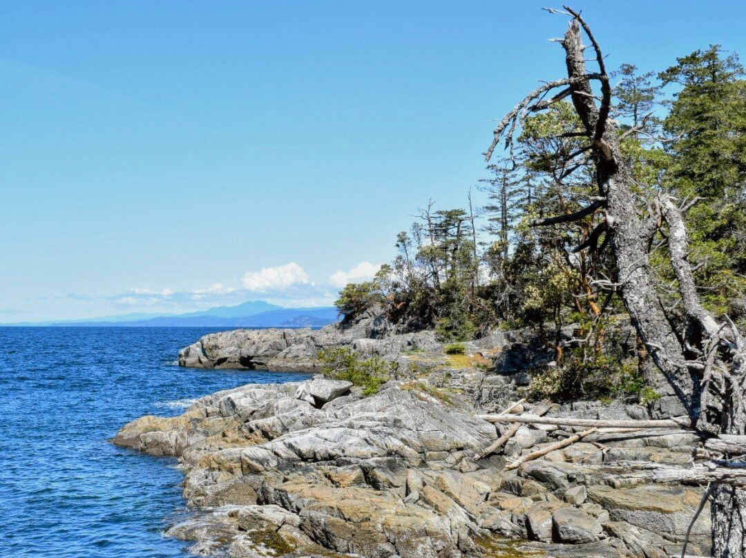 SloCat Harbour Tours-马德拉公园镇必去景点