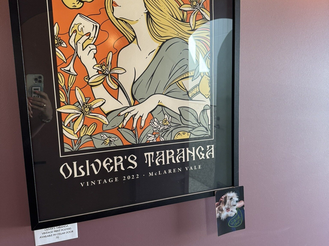 Oliver’s Taranga Vineyards Cellar Door and Winery景点图片