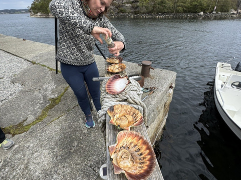Bergen Fjord Adventures-卑尔根必去景点