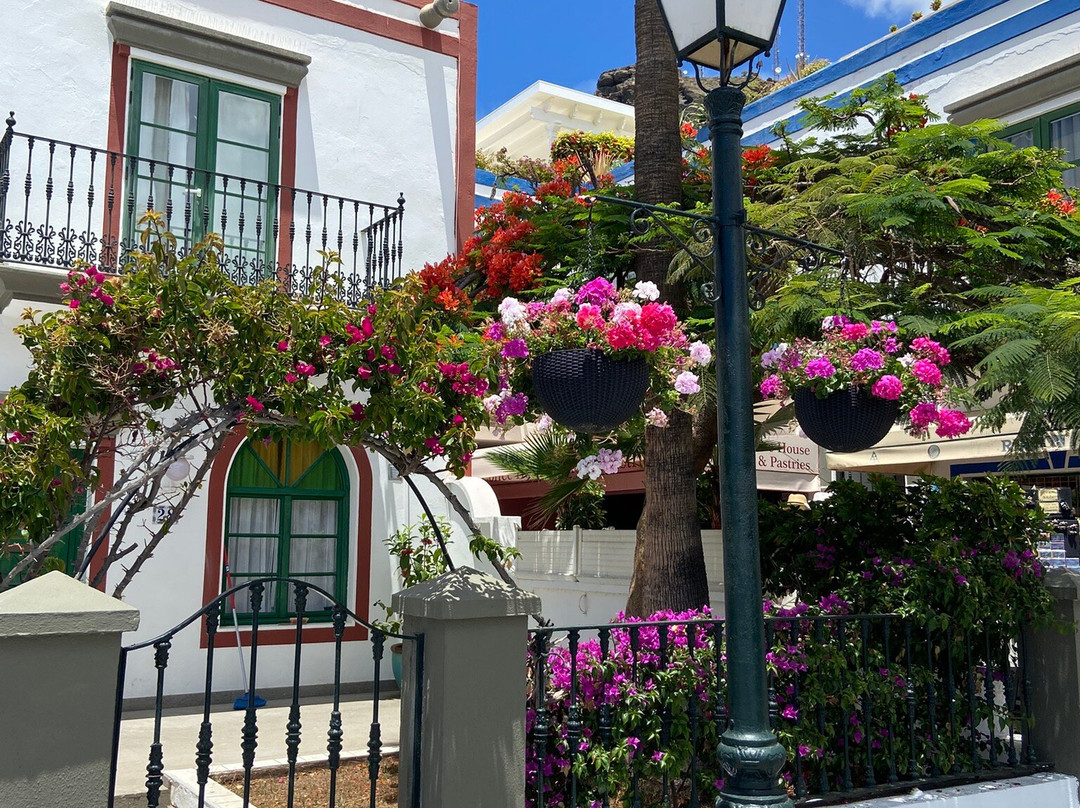 Puerto De Mogán景点图片