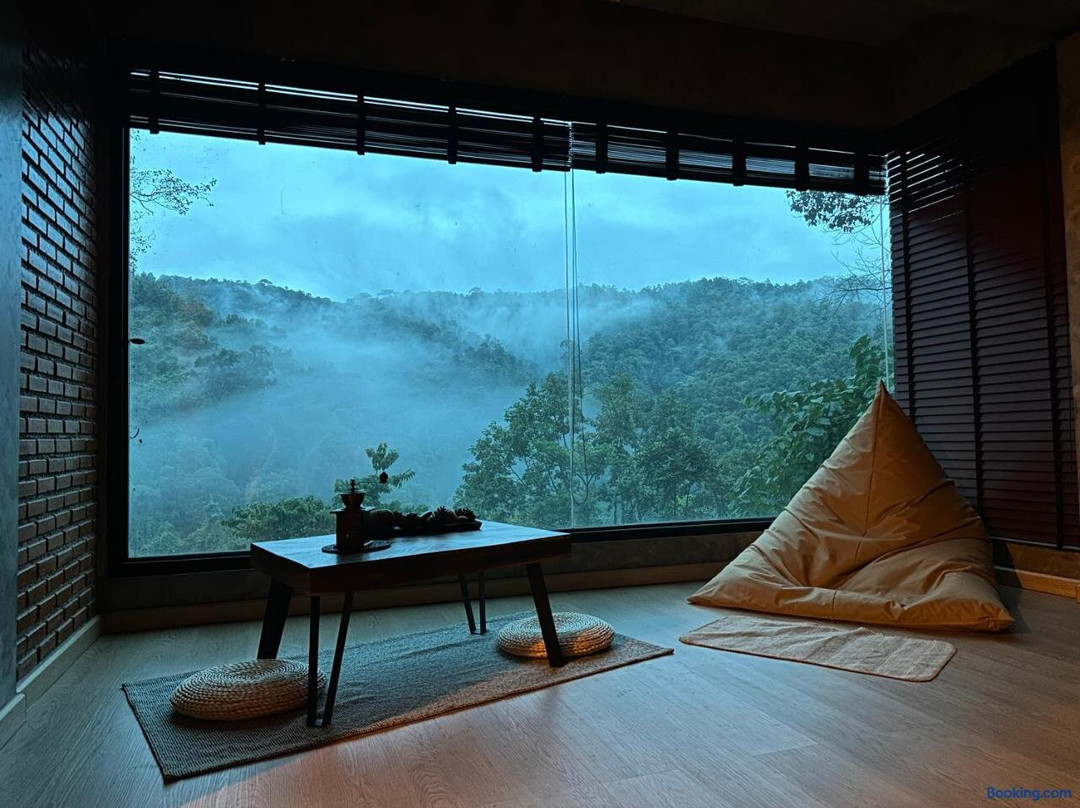 嗨-森林景观
