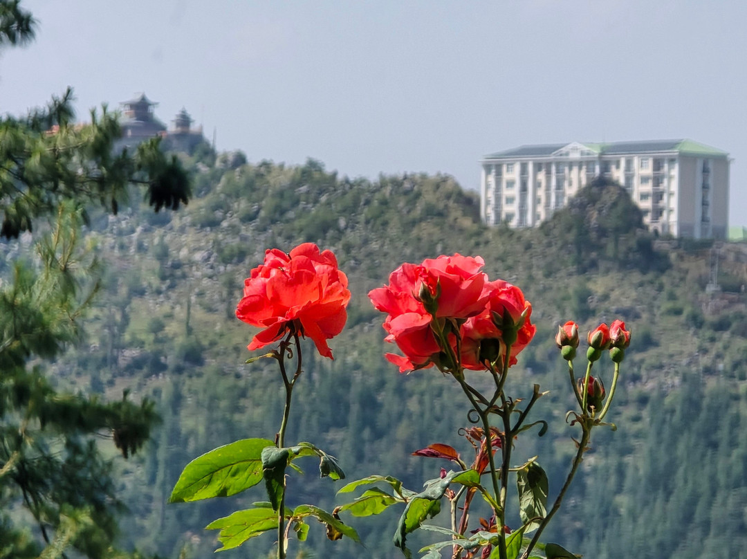 Udman Grand Mashobra主图